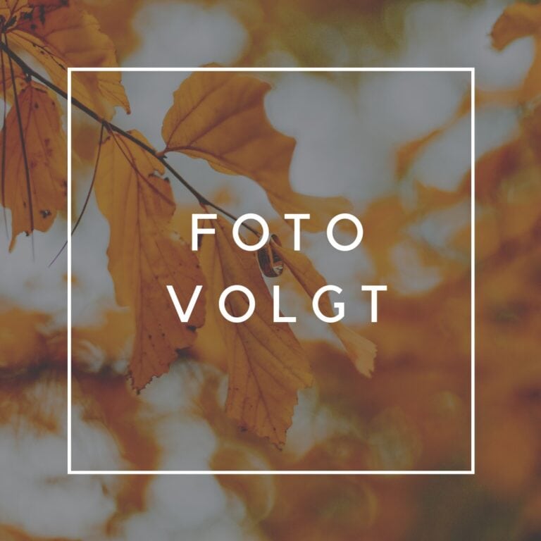foto volgt
