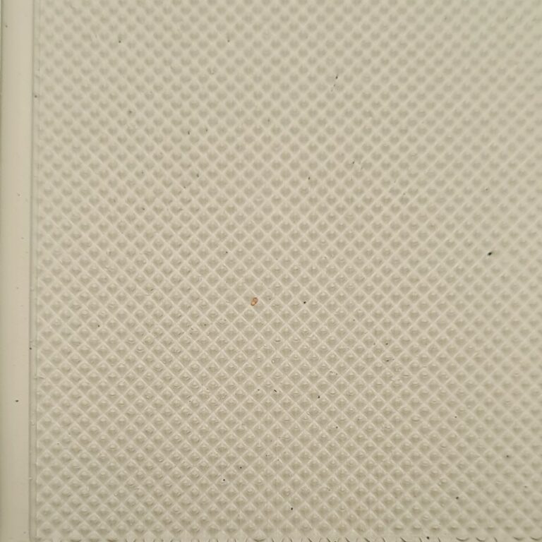 beige-19