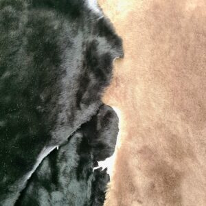zwart-nutria