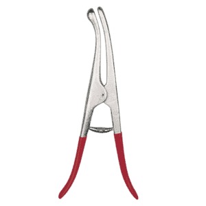 Knobbeltang Tenen