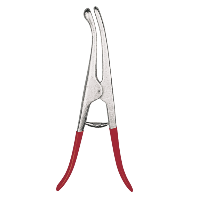 Knobbeltang Tenen